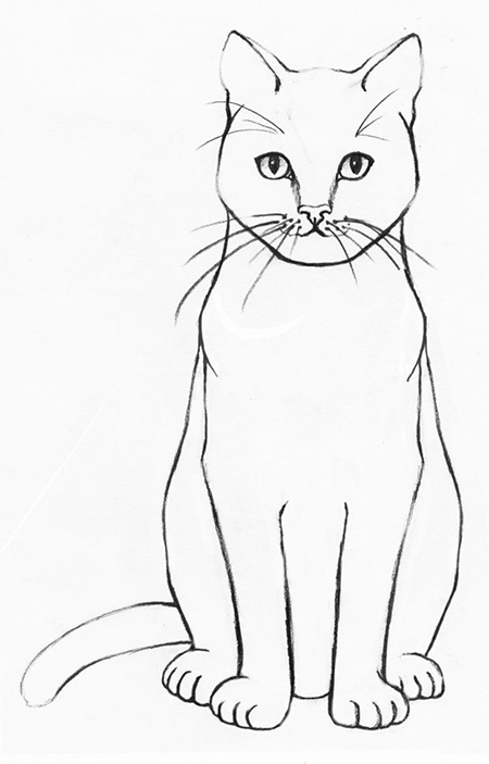 طراحی گربه مرحله 9